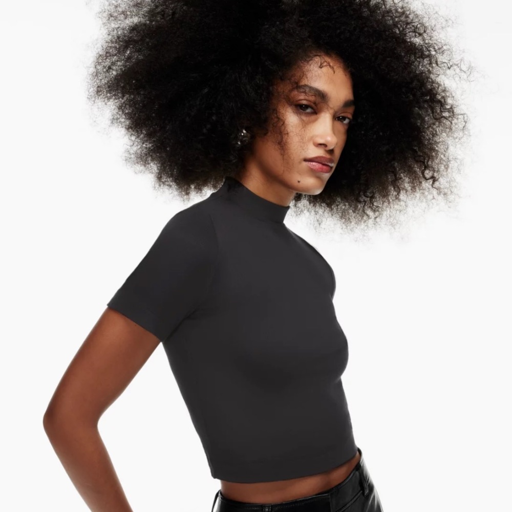ARITZIA ‘Gonzalo’ mock-neck ribbed turtle tee